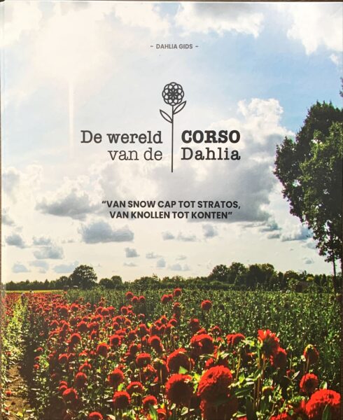 De wereld van de corsodahlia